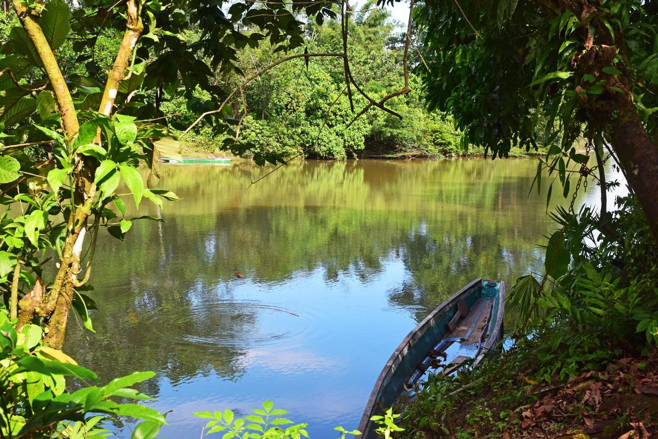 Suchipakari Amazon Eco -Lodge & Jungle Reserve Puerto Misahuallí Eksteriør billede